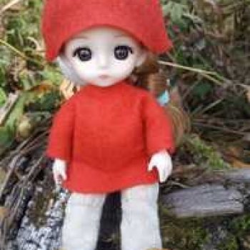 Гномик в лесу.