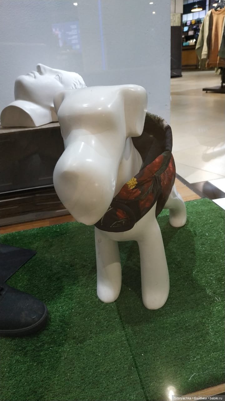 Субботнее утро Глаши — Игровые куклы разных производителей (Разное): редкие бренды (фото 8)