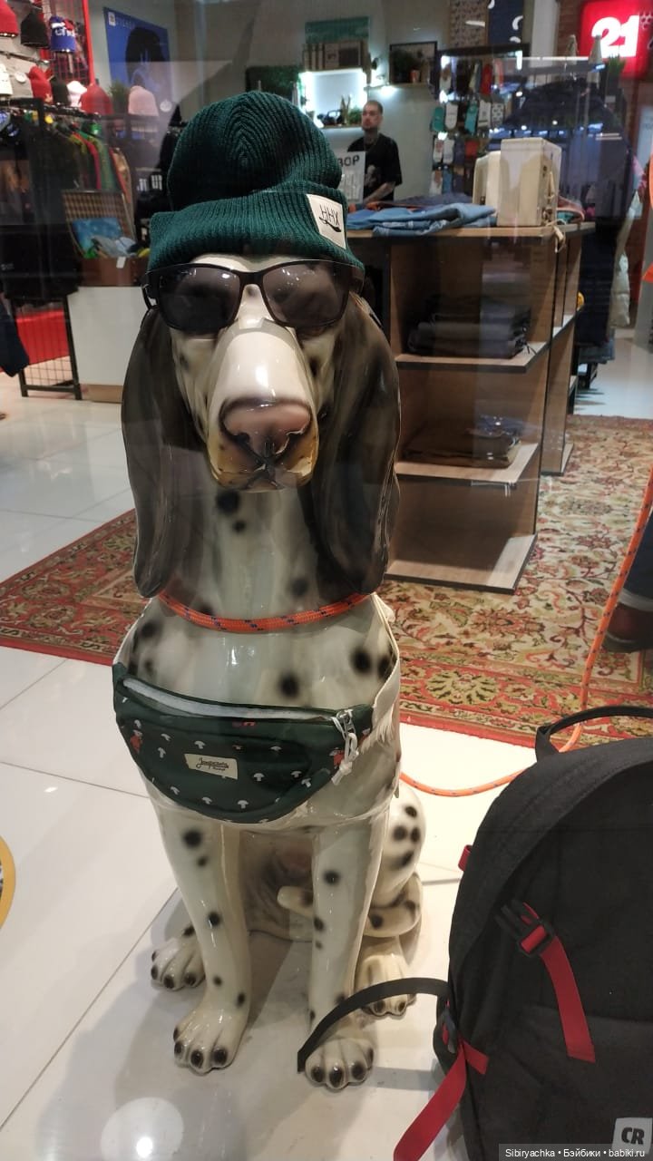 Субботнее утро Глаши — Игровые куклы разных производителей (Разное): редкие бренды (фото 6)