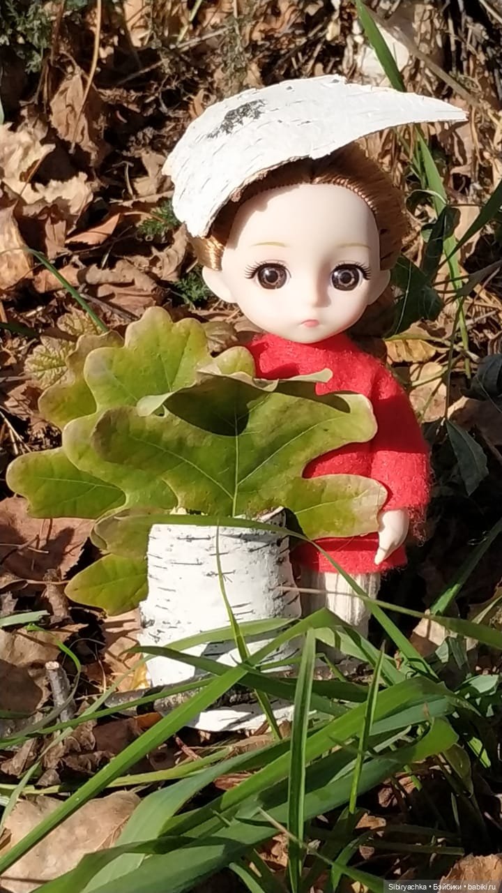 Берёзовые фантазии Глаши — Игровые куклы разных производителей (Разное): редкие бренды