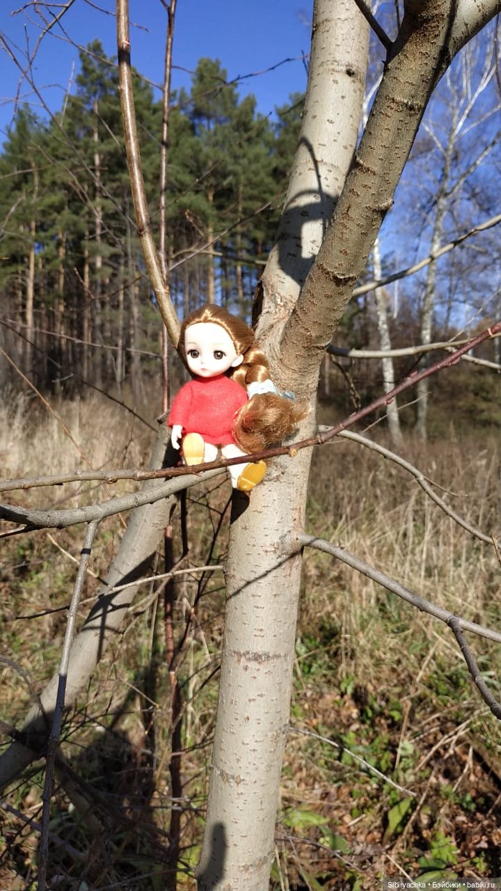 Берёзовые фантазии Глаши — Игровые куклы разных производителей (Разное): редкие бренды