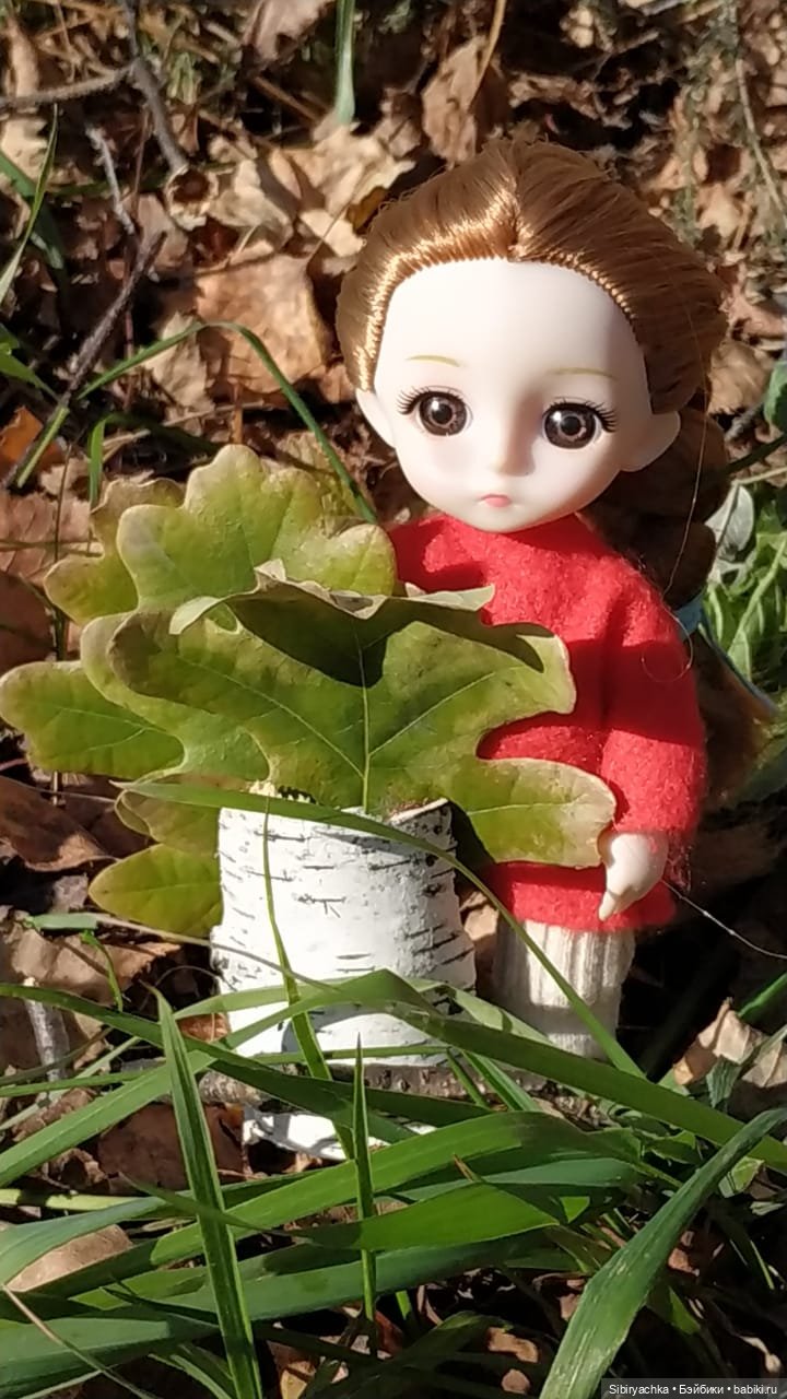 Берёзовые фантазии Глаши — Игровые куклы разных производителей (Разное): редкие бренды