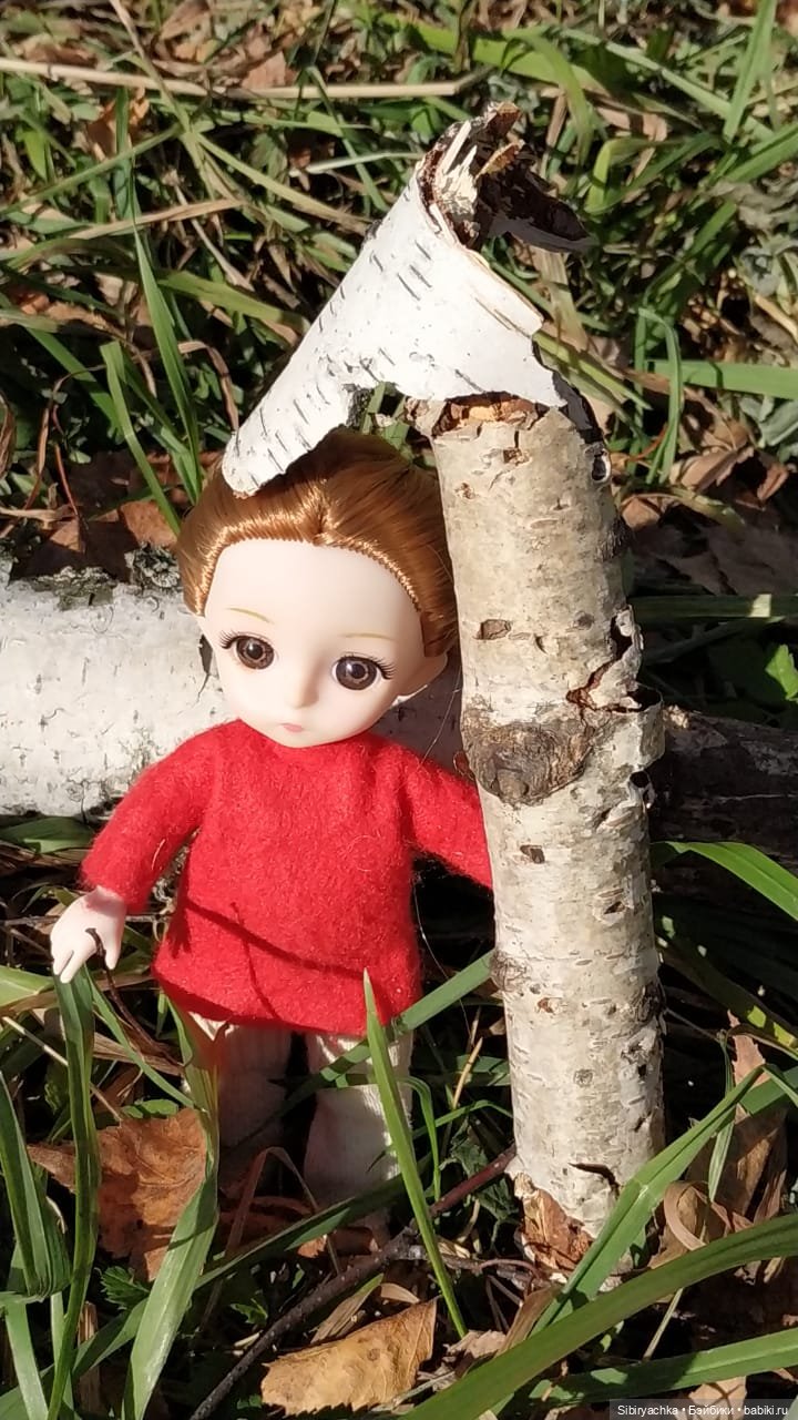 Берёзовые фантазии Глаши — Игровые куклы разных производителей (Разное): редкие бренды
