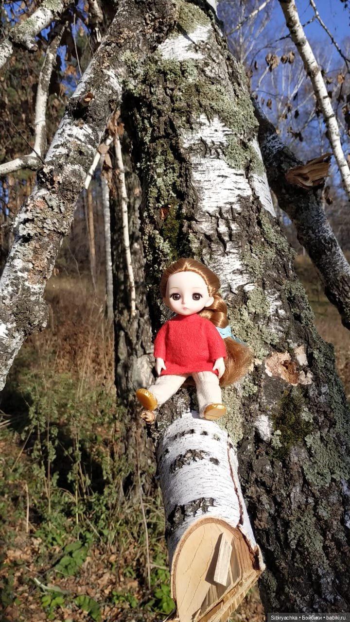 Берёзовые фантазии Глаши — Игровые куклы разных производителей (Разное): редкие бренды (фото 3)
