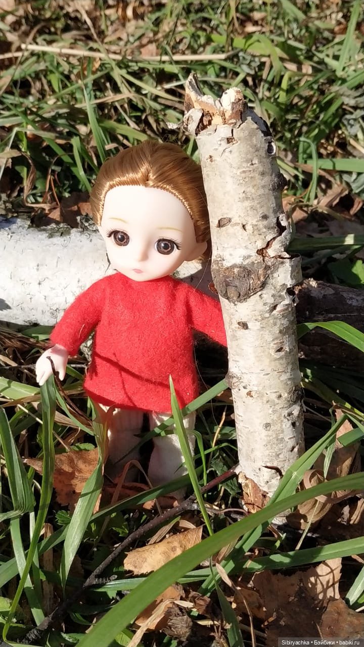 Берёзовые фантазии Глаши — Игровые куклы разных производителей (Разное): редкие бренды