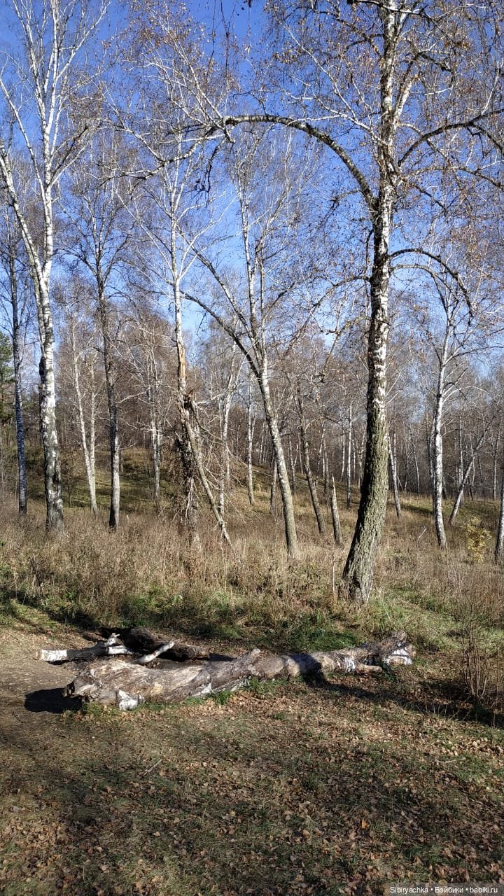 Берёзовые фантазии Глаши — Игровые куклы разных производителей (Разное): редкие бренды