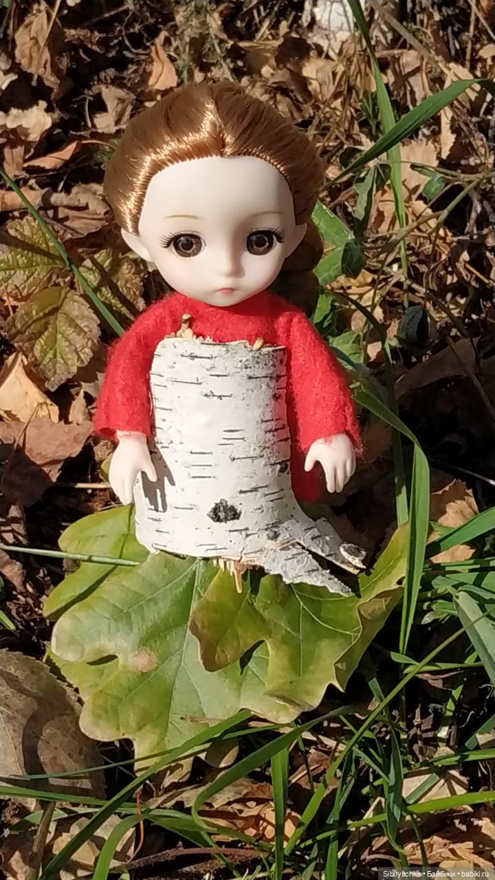 Берёзовые фантазии Глаши — Игровые куклы разных производителей (Разное): редкие бренды