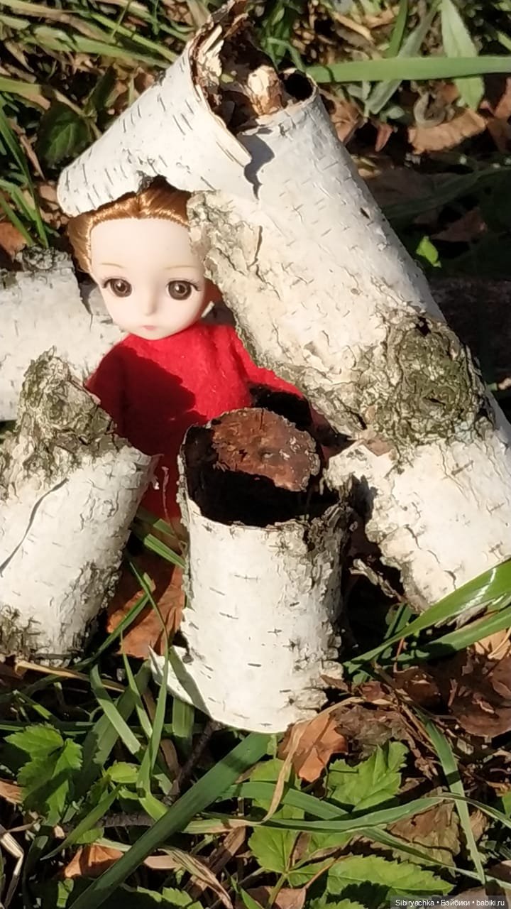 Берёзовые фантазии Глаши — Игровые куклы разных производителей (Разное): редкие бренды