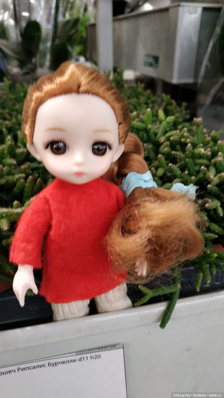 Глаша в отделе цветов — Игровые куклы разных производителей (Разное): редкие бренды (фото 3)