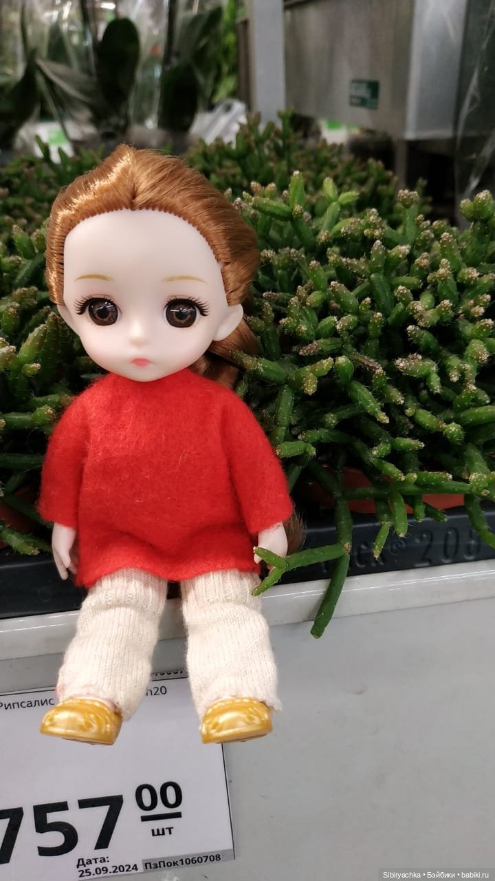 Глаша в отделе цветов — Игровые куклы разных производителей (Разное): редкие бренды (фото 8)