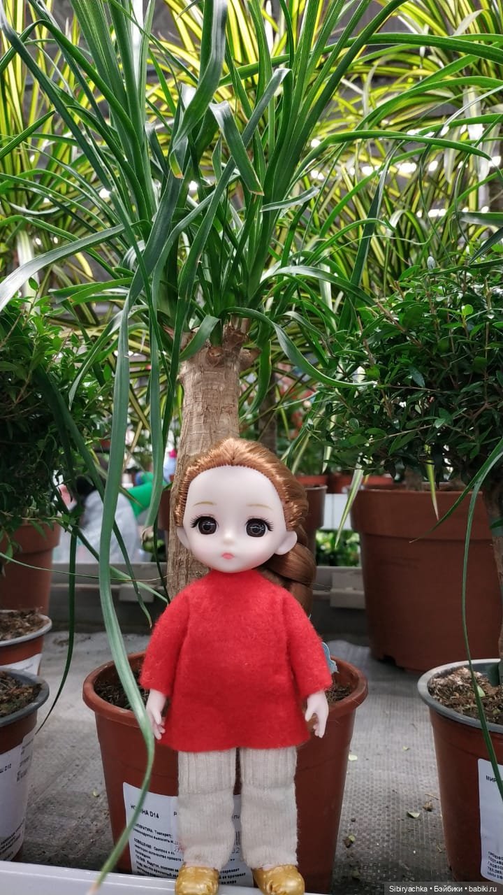 Глаша в отделе цветов — Игровые куклы разных производителей (Разное): редкие бренды (фото 5)