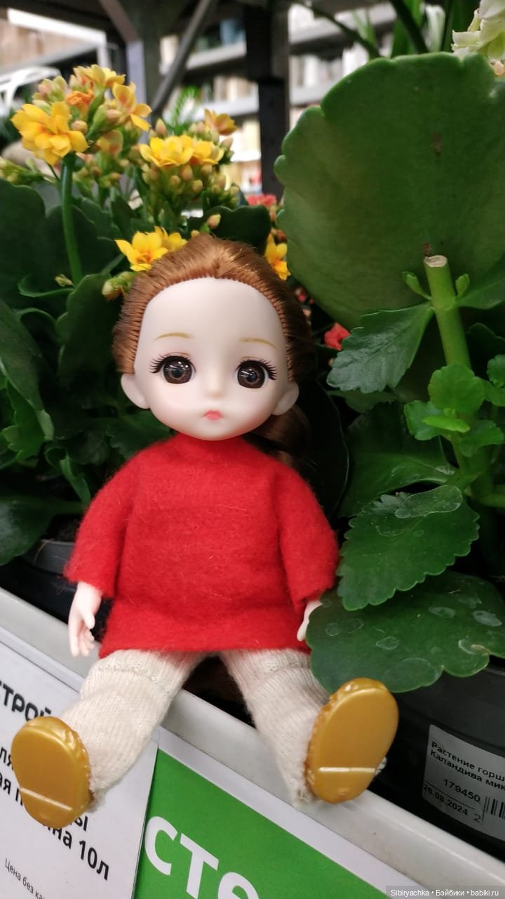 Глаша в отделе цветов — Игровые куклы разных производителей (Разное): редкие бренды