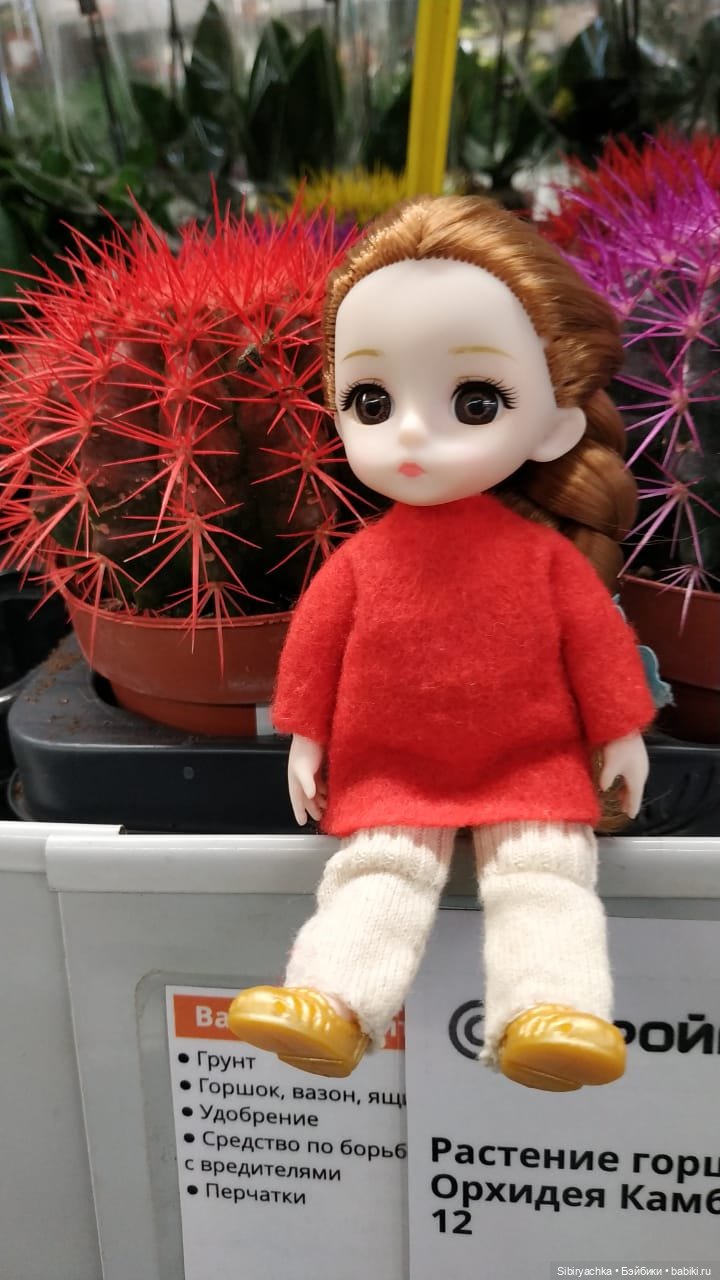 Глаша в отделе цветов — Игровые куклы разных производителей (Разное): редкие бренды (фото 2)