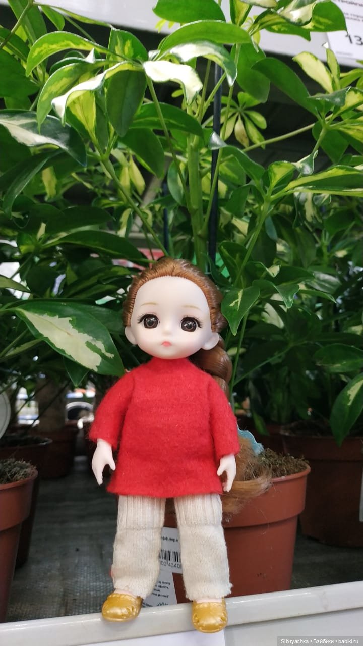 Глаша в отделе цветов — Игровые куклы разных производителей (Разное): редкие бренды (фото 10)