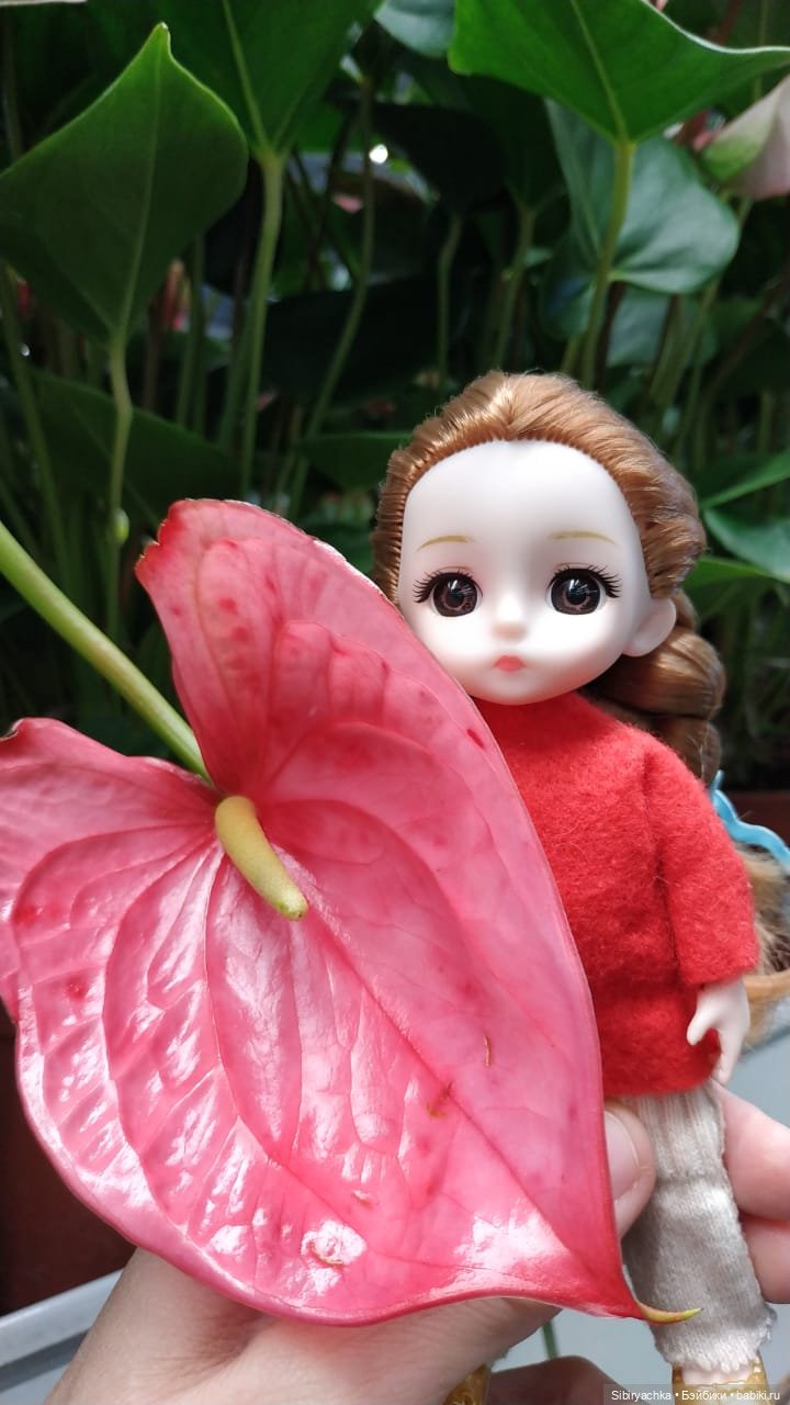 Глаша в отделе цветов — Игровые куклы разных производителей (Разное): редкие бренды