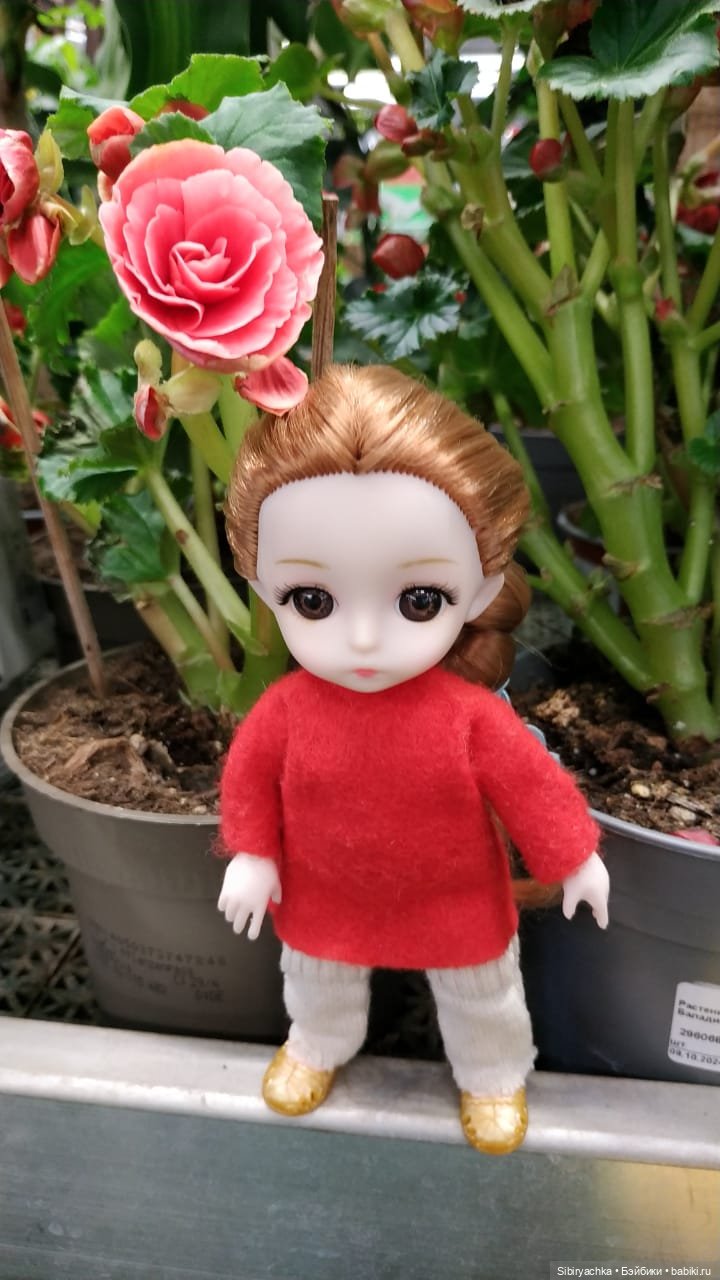 Глаша в отделе цветов — Игровые куклы разных производителей (Разное): редкие бренды
