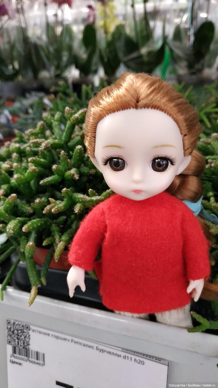 Глаша в отделе цветов — Игровые куклы разных производителей (Разное): редкие бренды (фото 9)