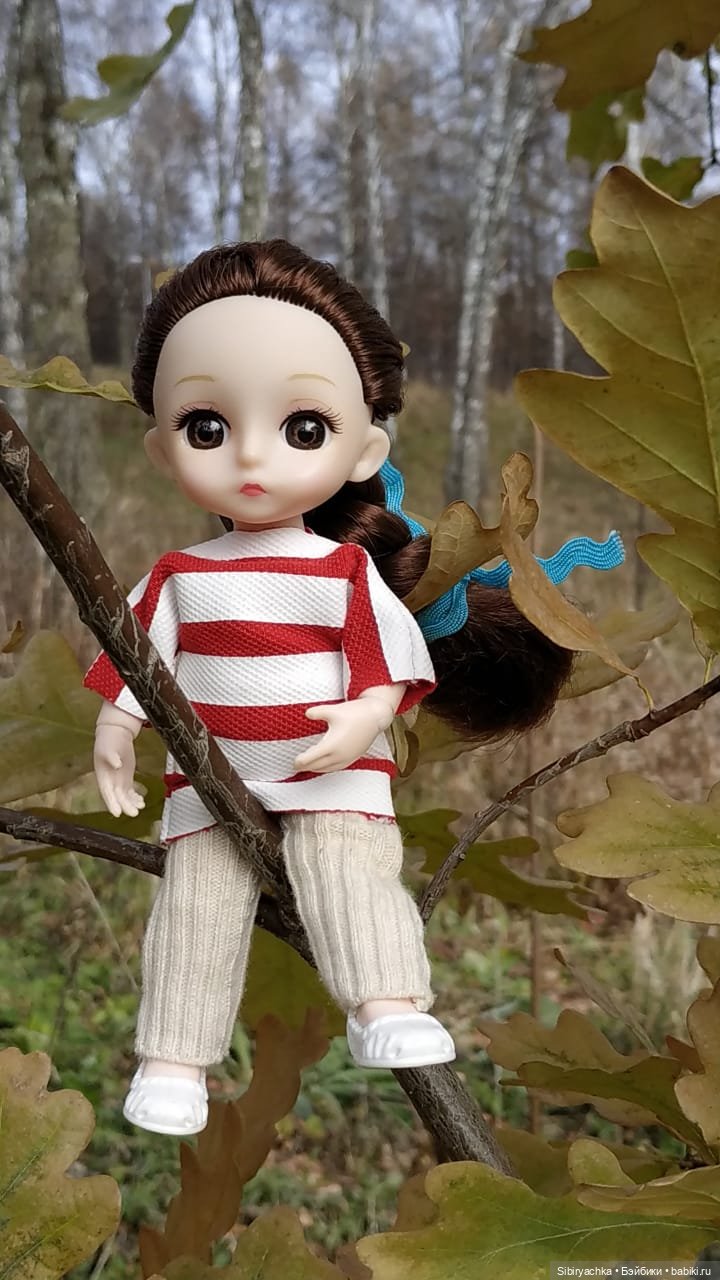 Готовь сани летом, а телегу зимой (фото 2)