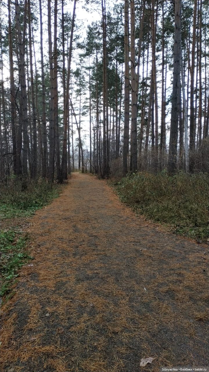 Леонид приготовил Глаше сюрприз для прогулки в лесу