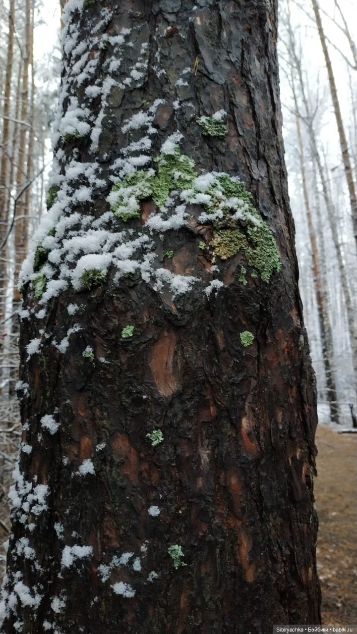 Дядя Лёня приготовил Глаше сюрприз