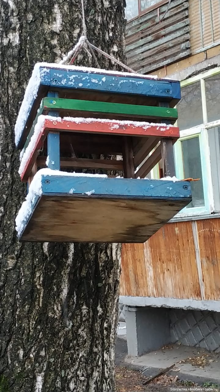 Леонид и Глаша радуются первому снегу