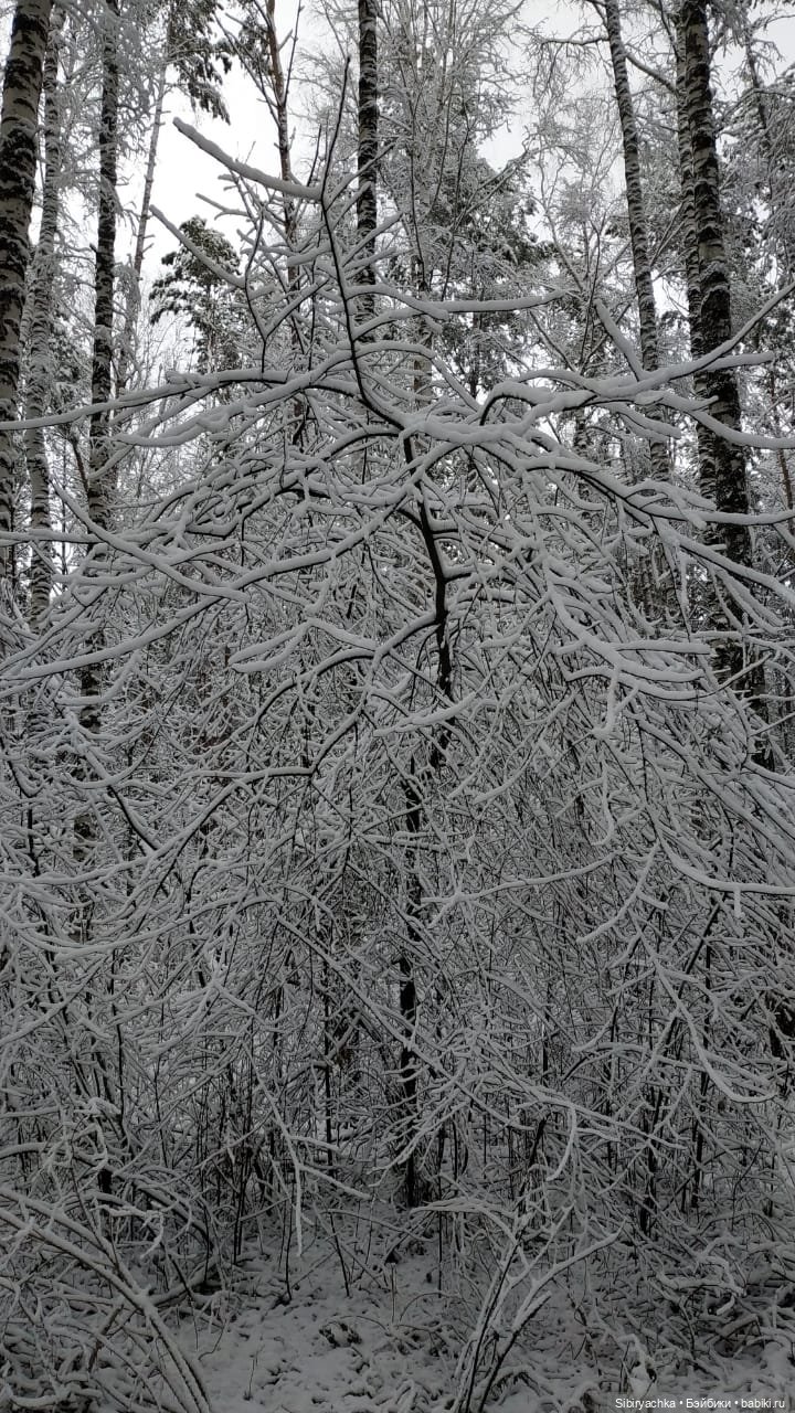 Глаша и Луша в любимом лесу