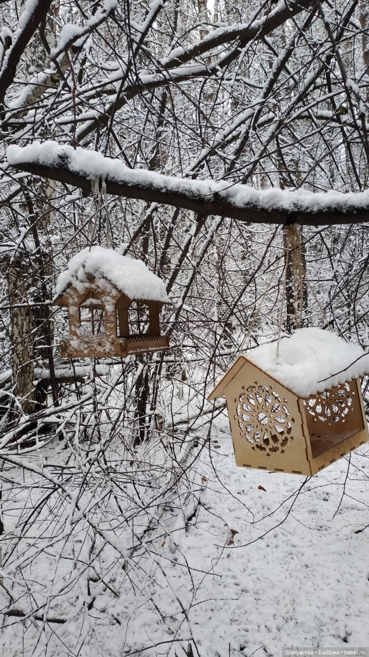 Настя любуется красотой заснеженного леса