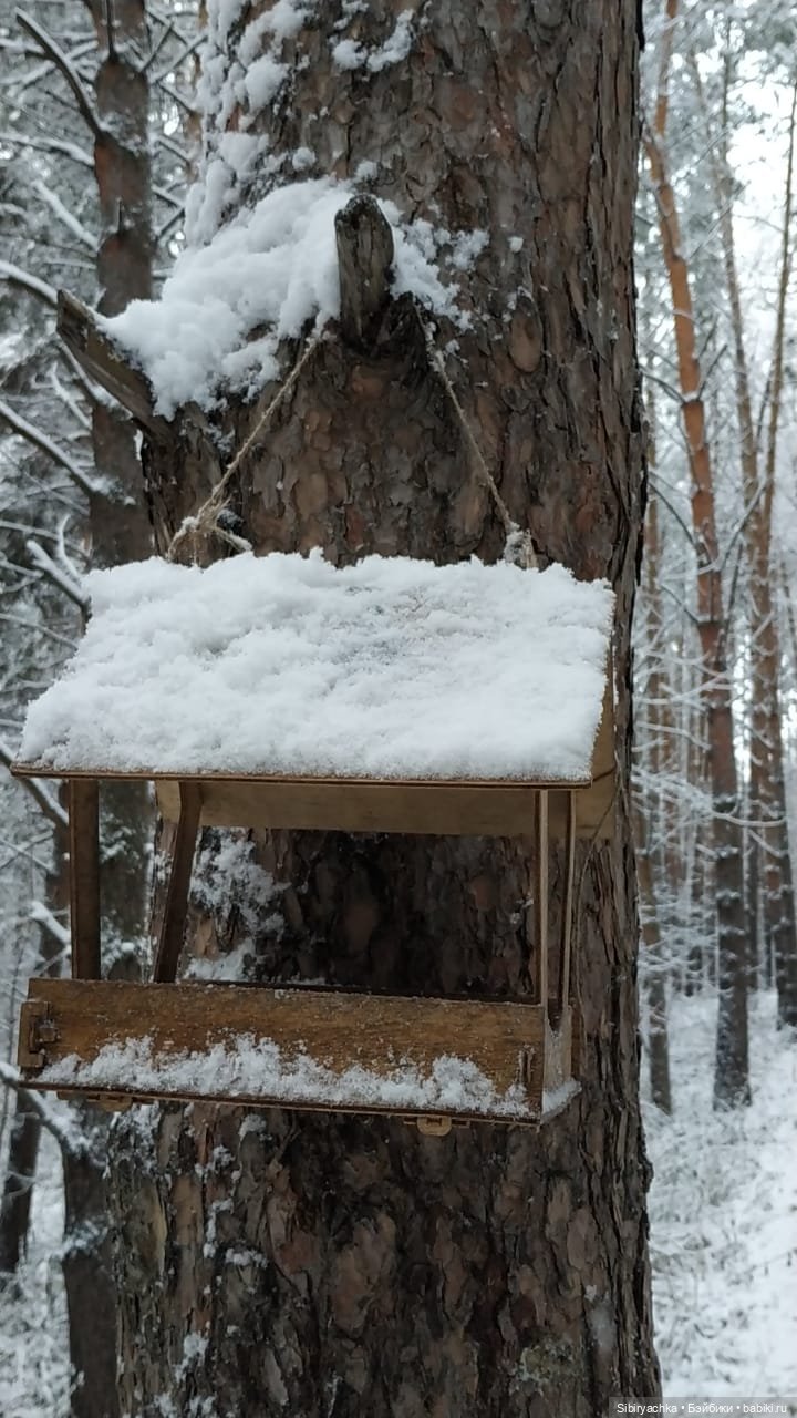 Глаша и Луша в любимом лесу