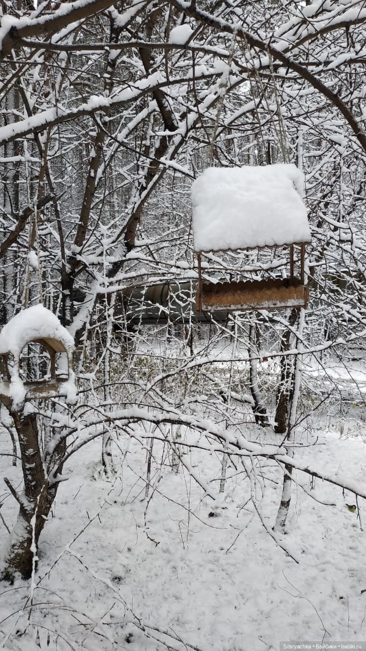 Настя любуется красотой заснеженного леса