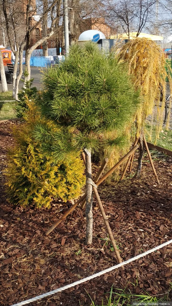 Прекрасный ноябрьский денёк в городском саду