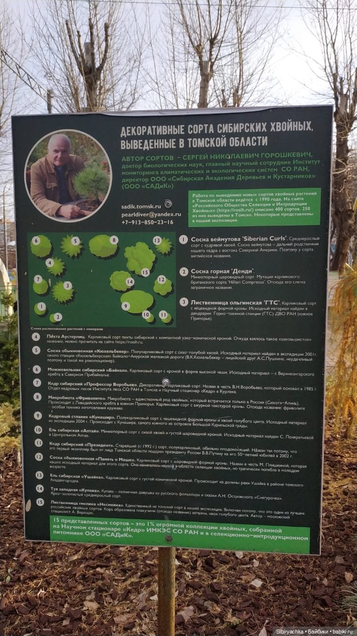 Прекрасный ноябрьский денёк в городском саду