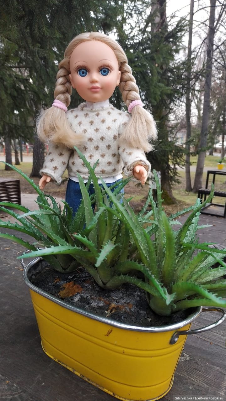 Прекрасный ноябрьский денёк в городском саду (фото 2)