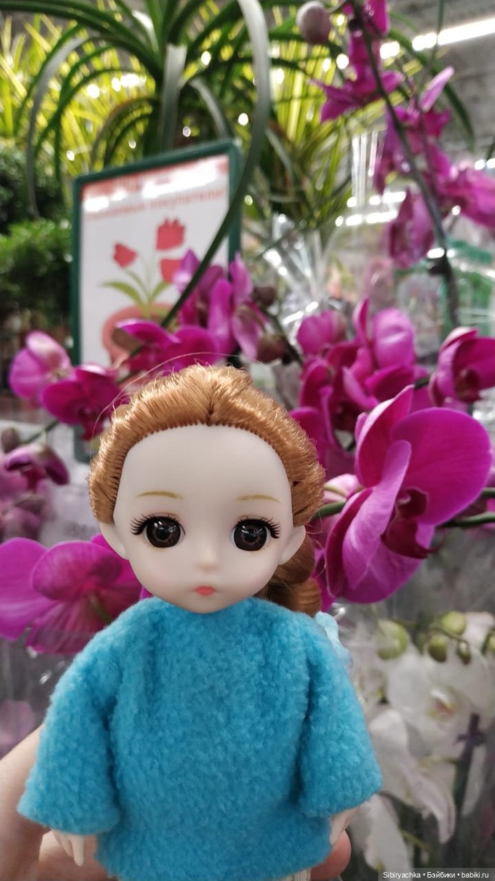 Глаша изучает садовые фигуры