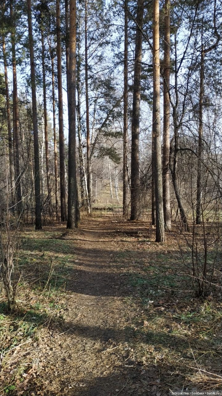 Первая прогулка Катюши в лесу