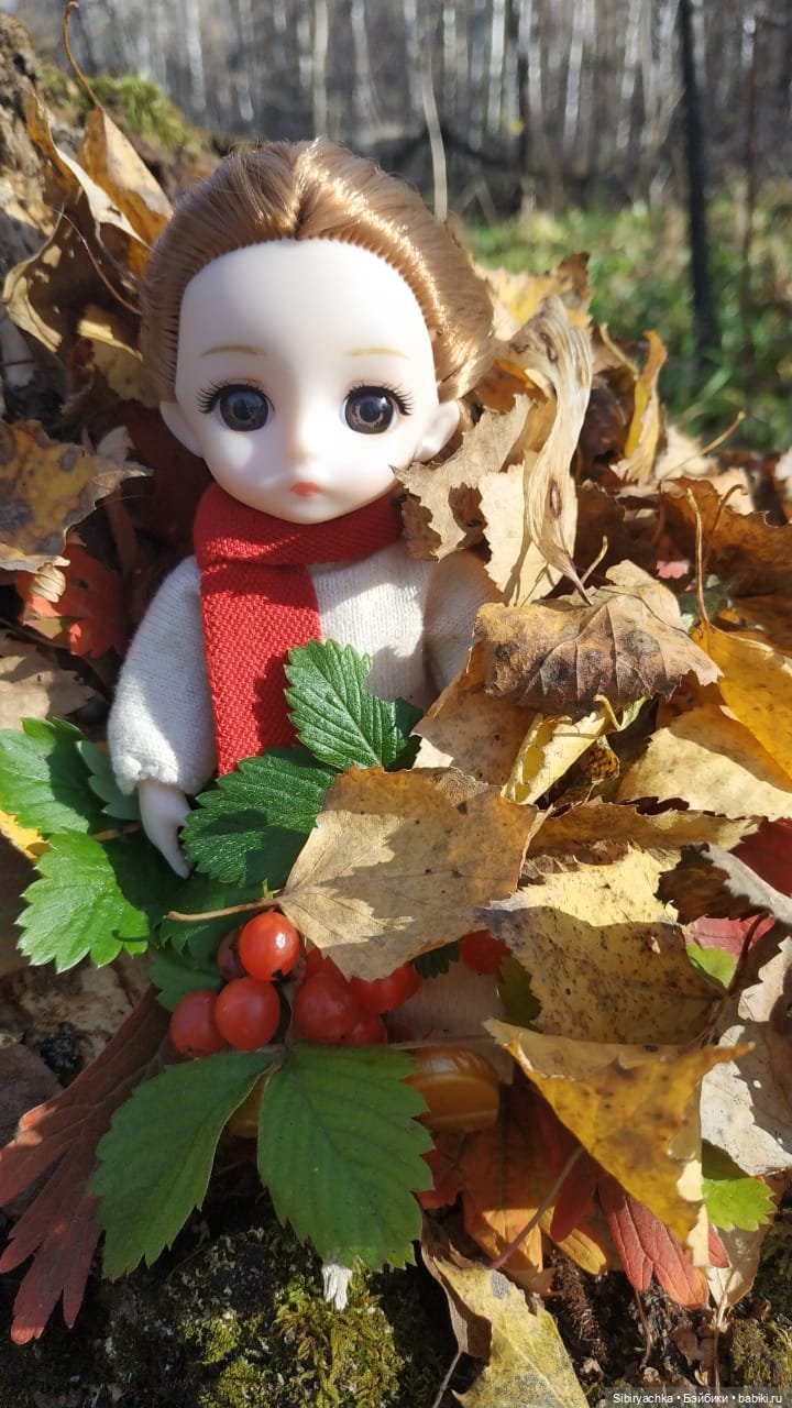 Вспоминая лучшие моменты золотой осени