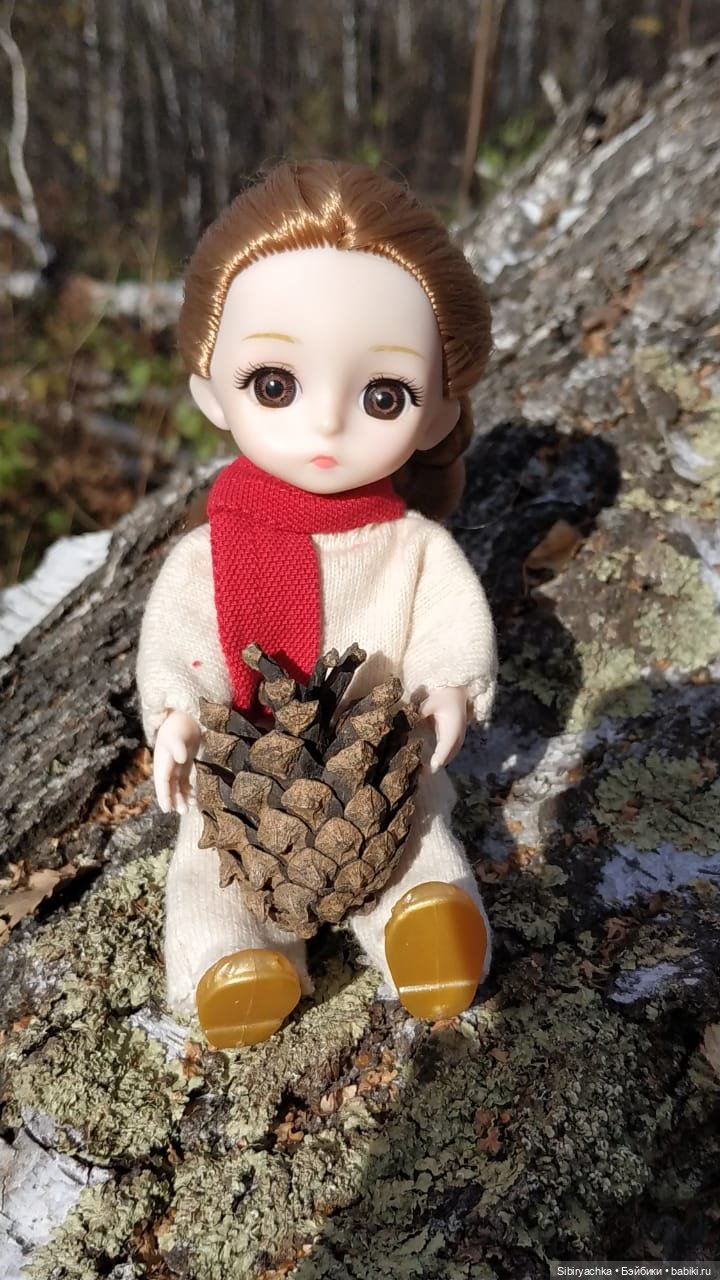 Вспоминая лучшие моменты золотой осени (фото 10)