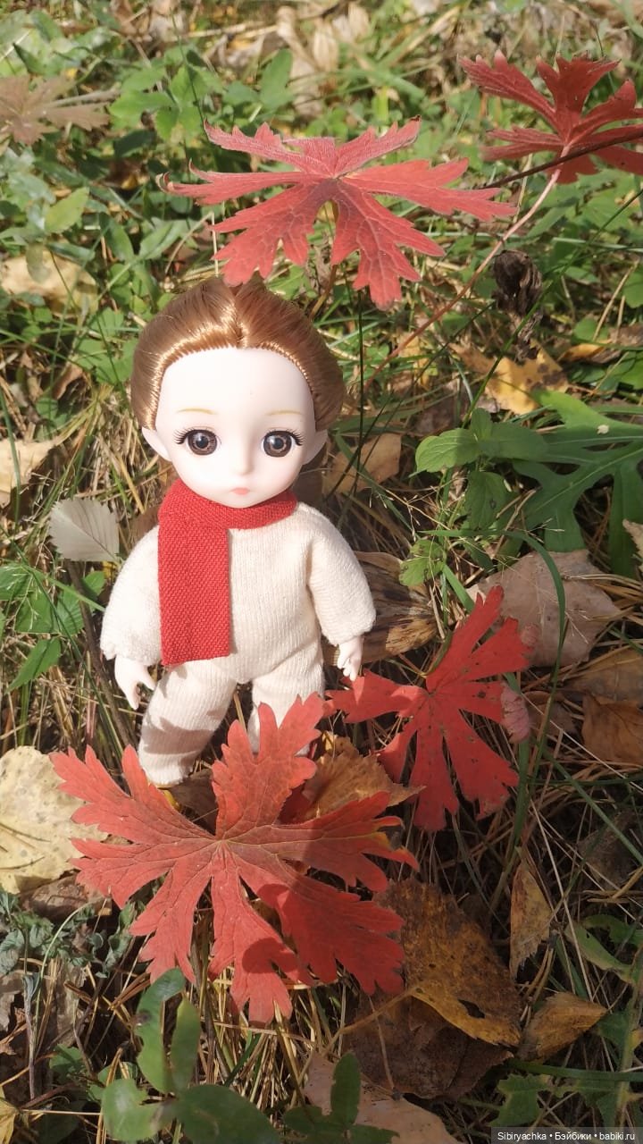 Вспоминая лучшие моменты золотой осени