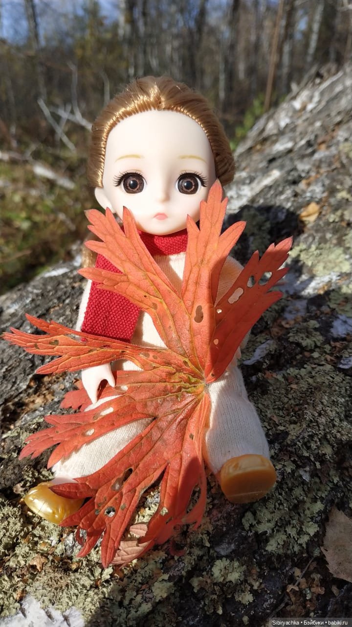 Вспоминая лучшие моменты золотой осени