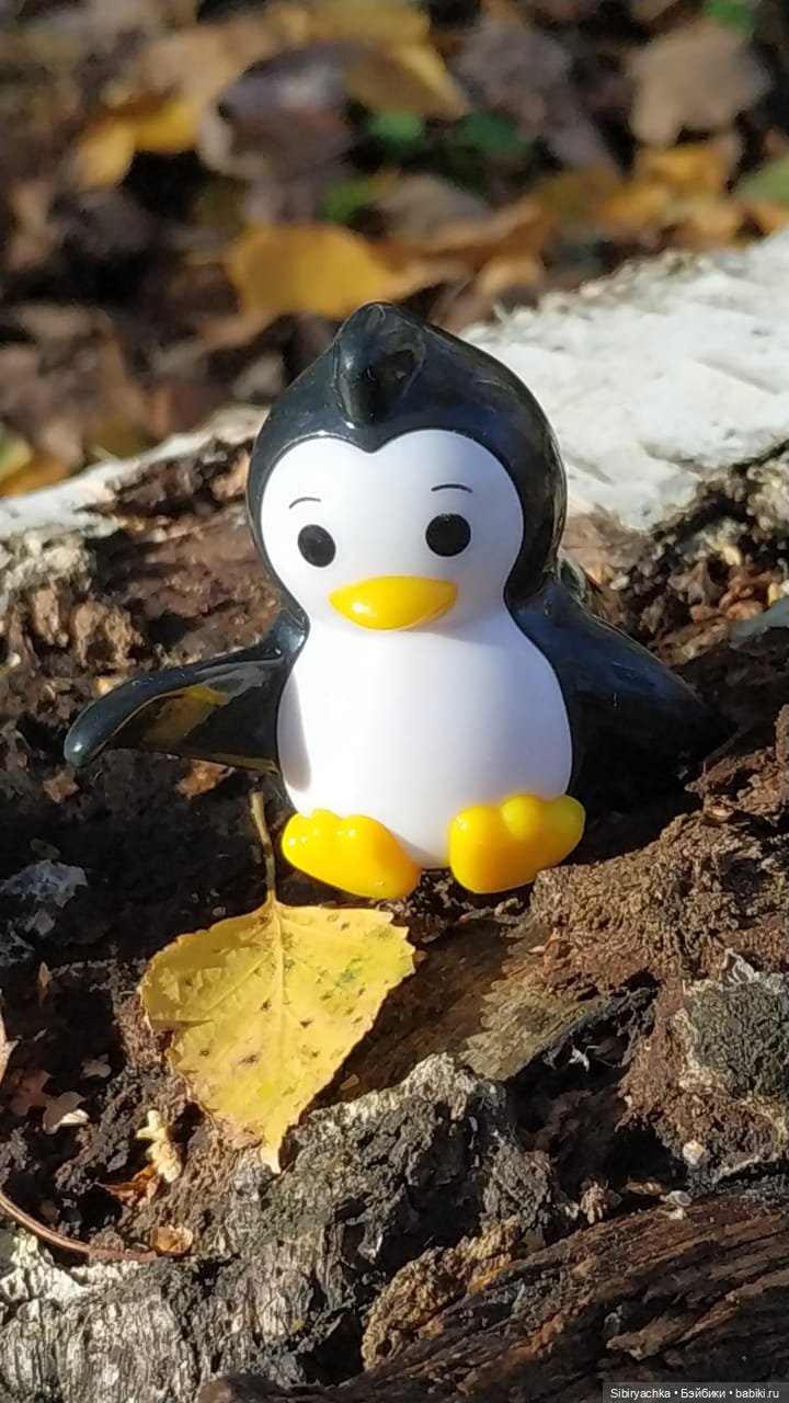 Вспоминая лучшие моменты золотой осени (фото 2)