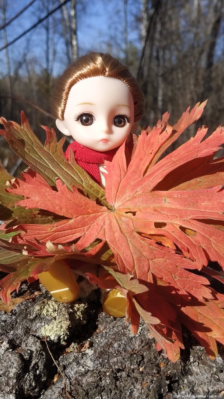 Вспоминая лучшие моменты золотой осени