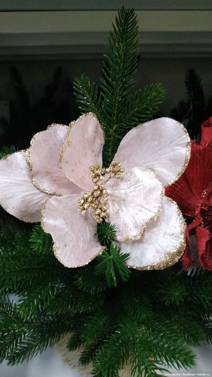 Глаша мечтает о празднике (фото 6)