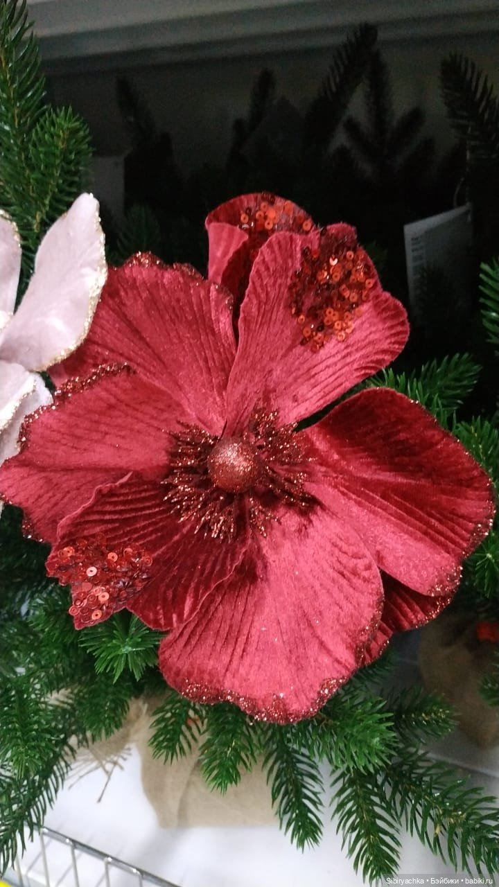 Глаша мечтает о празднике (фото 9)