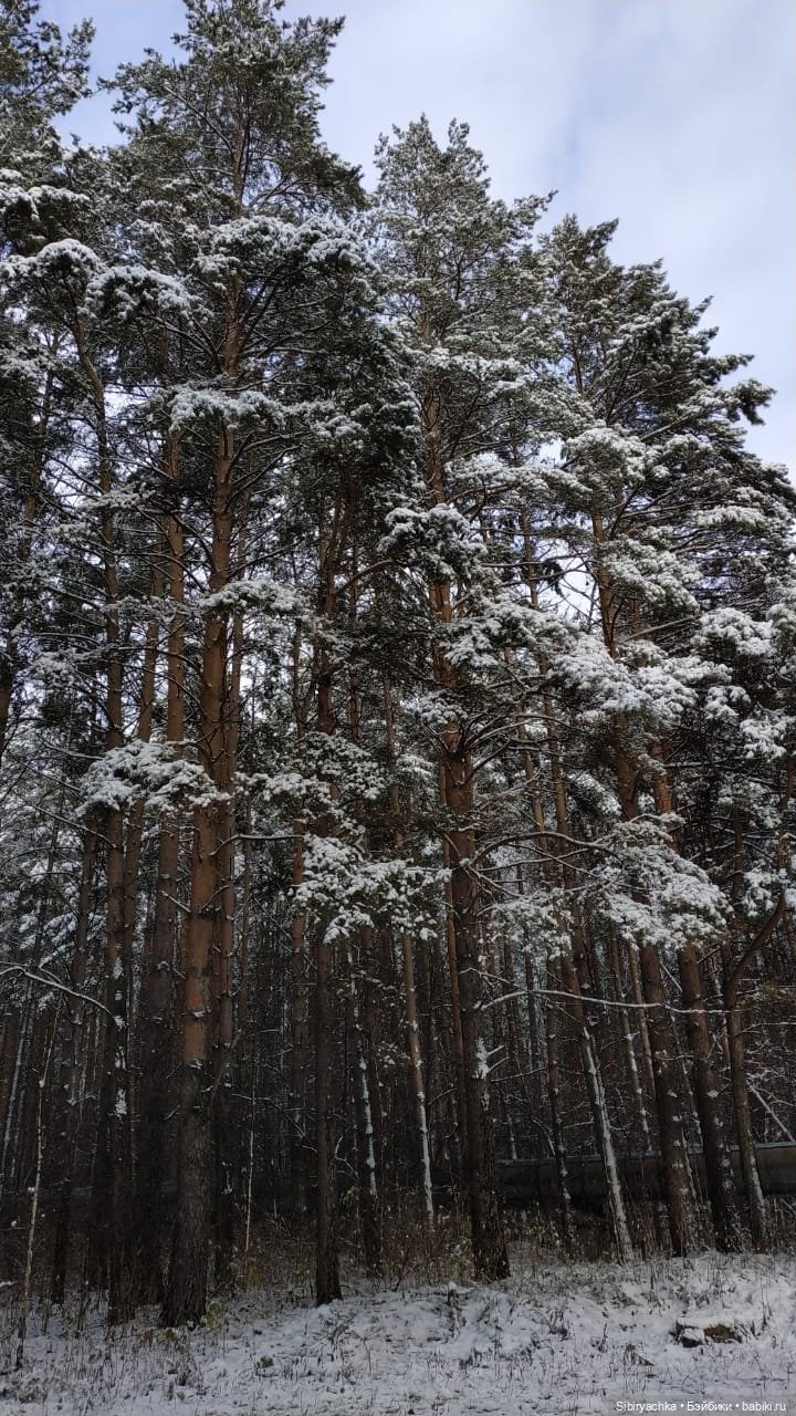 Тайны заснеженного леса — Российские куклы Весна