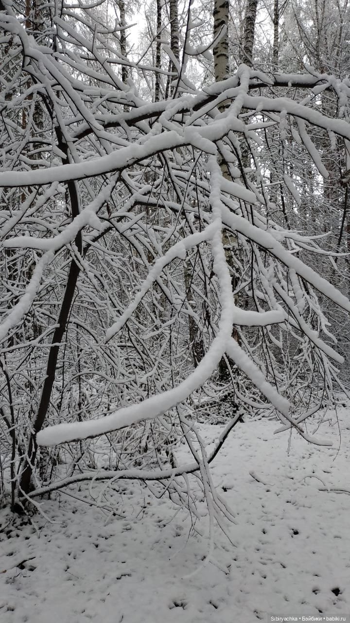 Тайны заснеженного леса — Российские куклы Весна (фото 8)