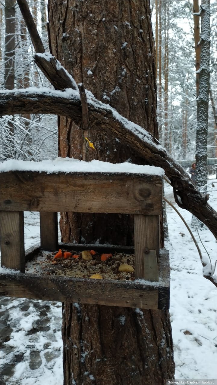 Тайны заснеженного леса — Российские куклы Весна