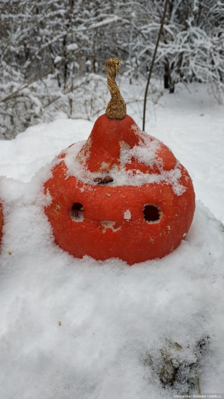 Тайны заснеженного леса — Российские куклы Весна