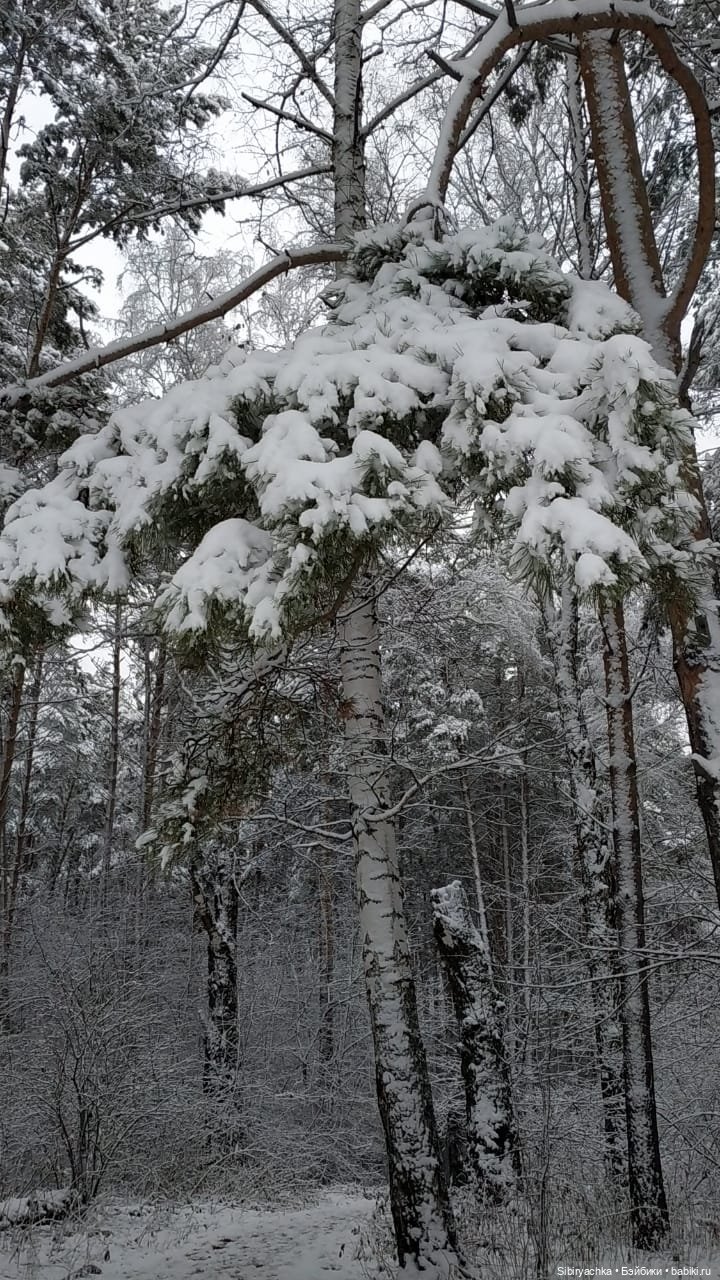 Тайны заснеженного леса — Российские куклы Весна