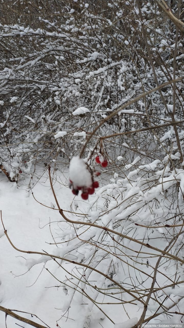 Тайны заснеженного леса — Российские куклы Весна