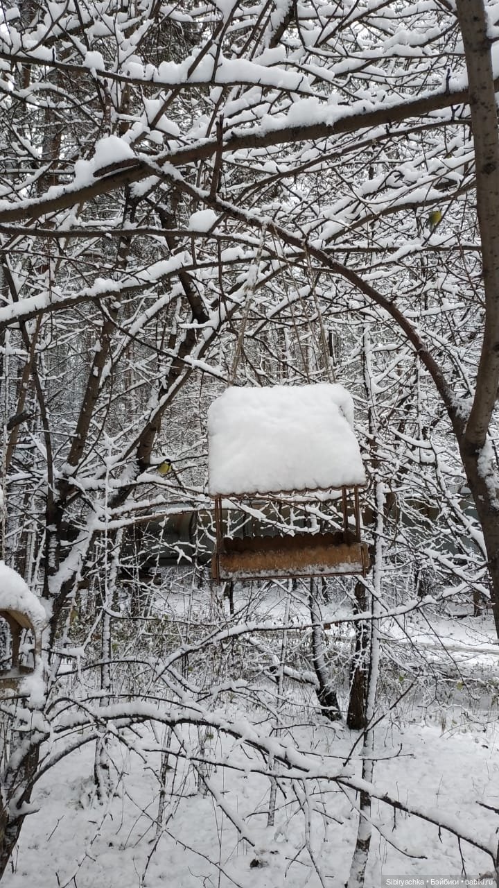 Тайны заснеженного леса — Российские куклы Весна