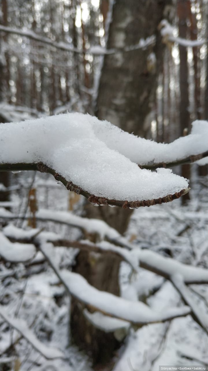 Тайны заснеженного леса — Российские куклы Весна